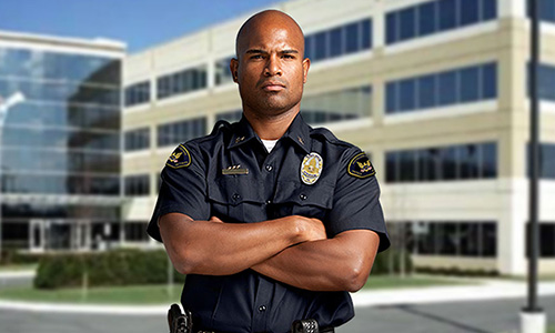 Alarm & Security Services image