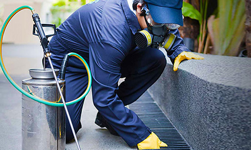 Pest Control Services image