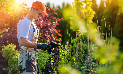Vegetation Management Services image